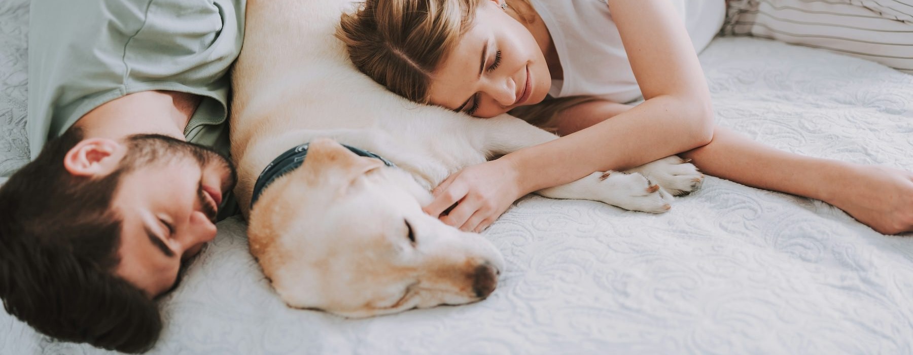 a man and a woman lying on a bed with a dog